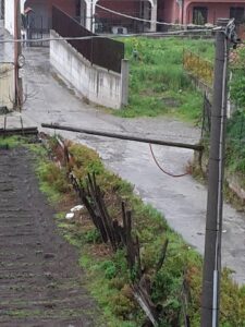 1505134_699065100219424_1508202081003706814_n