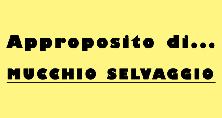 Approposito di…mucchio selvaggio